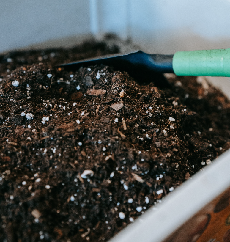 a guide to composting coffee grounds