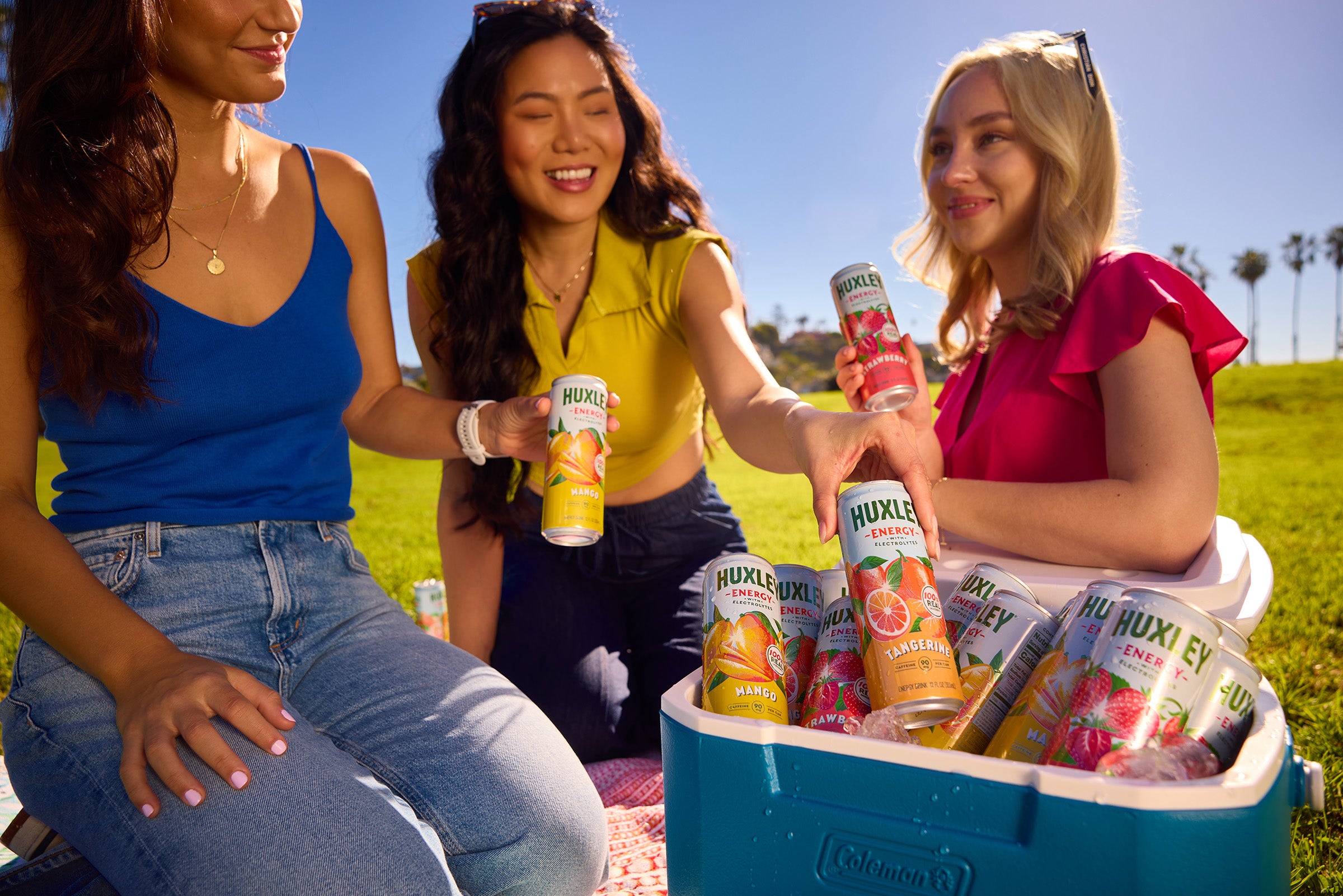 Huxley | Natural Energy Drinks With Real Fruit Juice