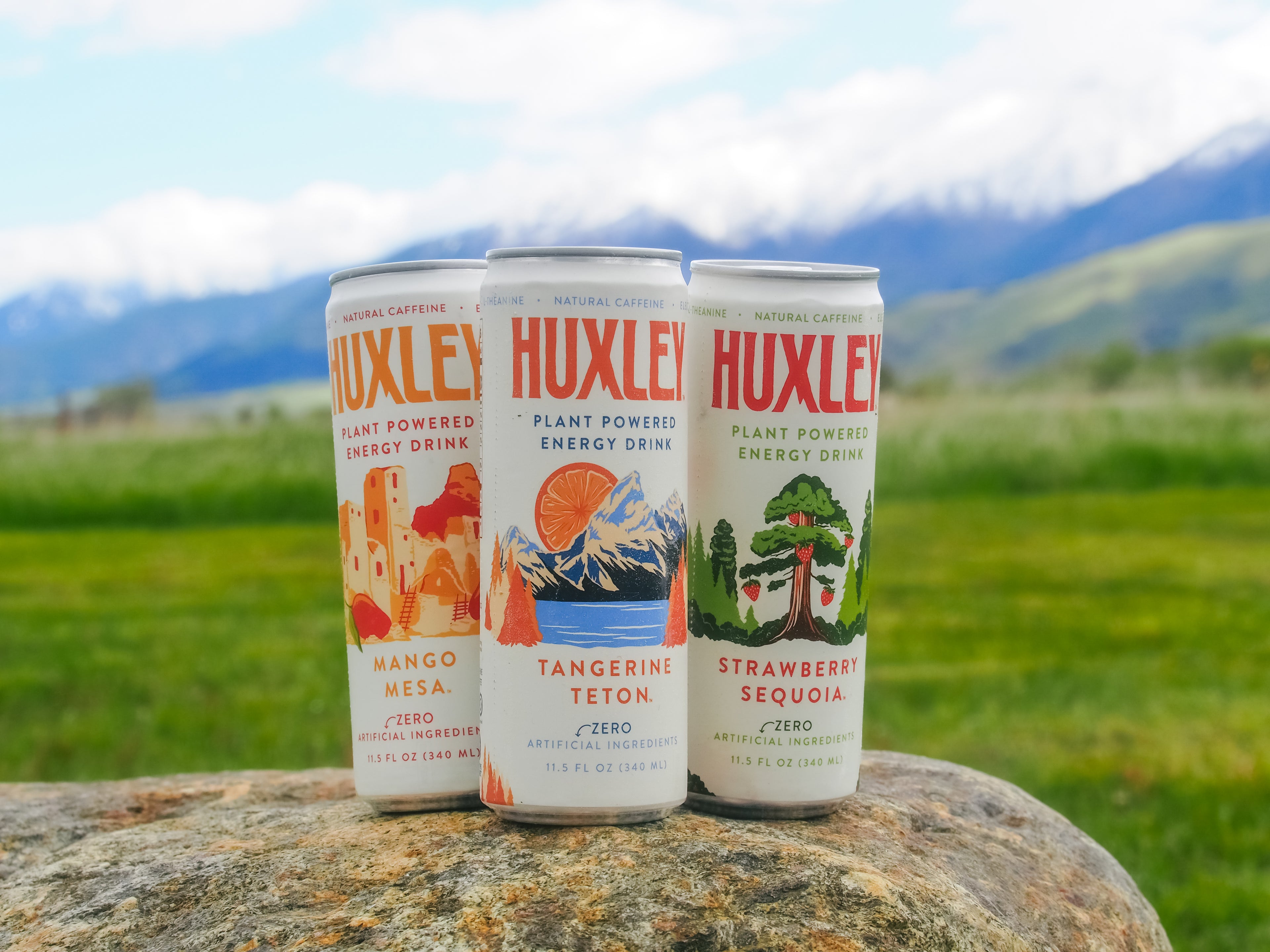 Superfruit Energy Drink Variety Pack – Huxley